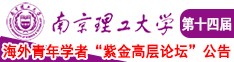 欧美大吊戳逼南京理工大学第十四届海外青年学者紫金论坛诚邀海内外英才！